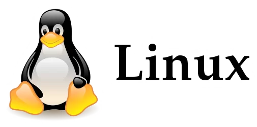 Linux VPS KVM